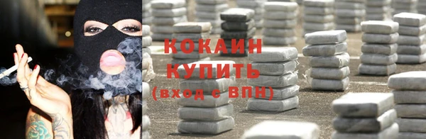 гашик Белокуриха