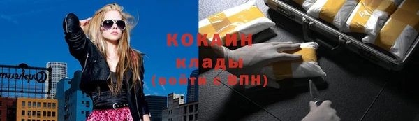 гашик Белокуриха