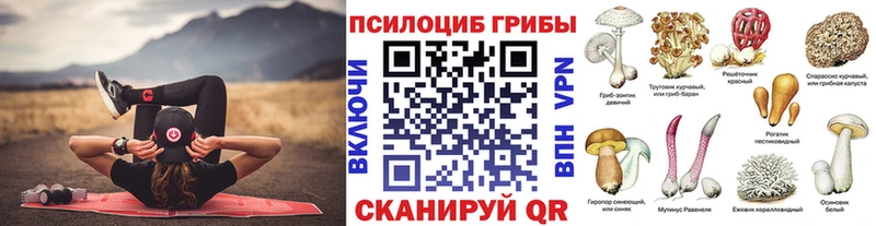 Купить  Луга  Псилоцибиновые грибы Psilocybe 