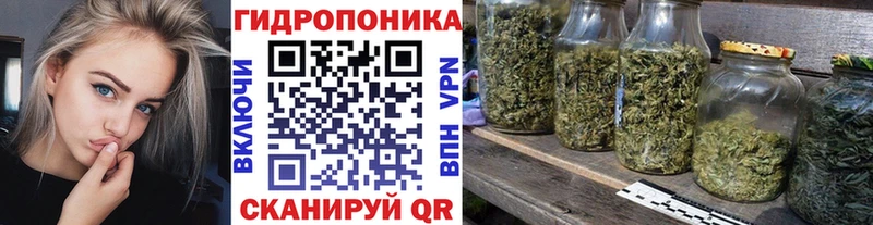 Купить  Луга  Марихуана семена 